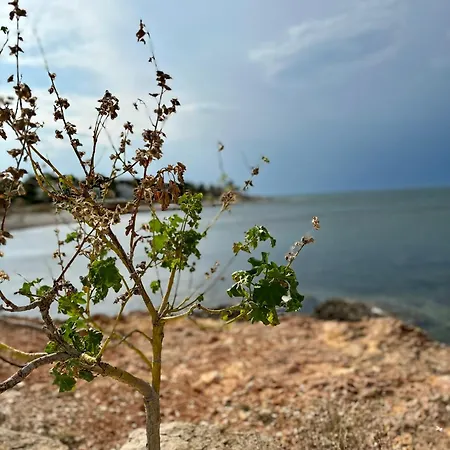 Apartment Sunny Renovated - Denia/santa Llucia *