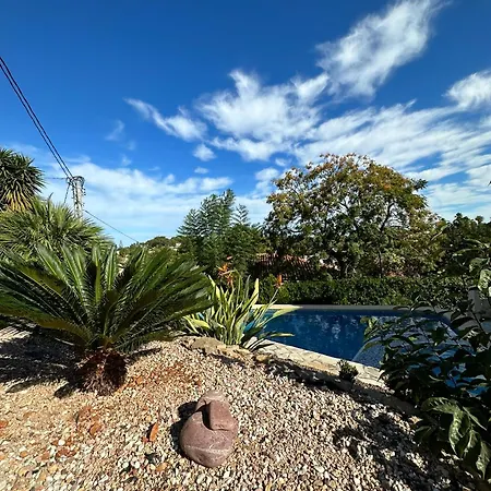 Sunny Renovated - Denia/santa Llucia Apartment *