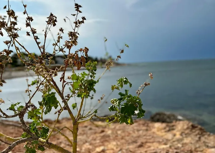 Apartment Sunny Renovated - Denia/santa Llucia *